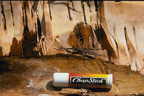 chapstick.JPG
