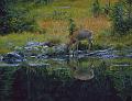 waterdeer