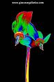 digitalflower